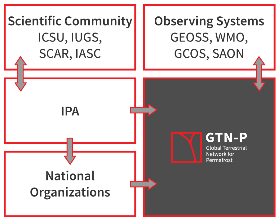 GTN-P involvement