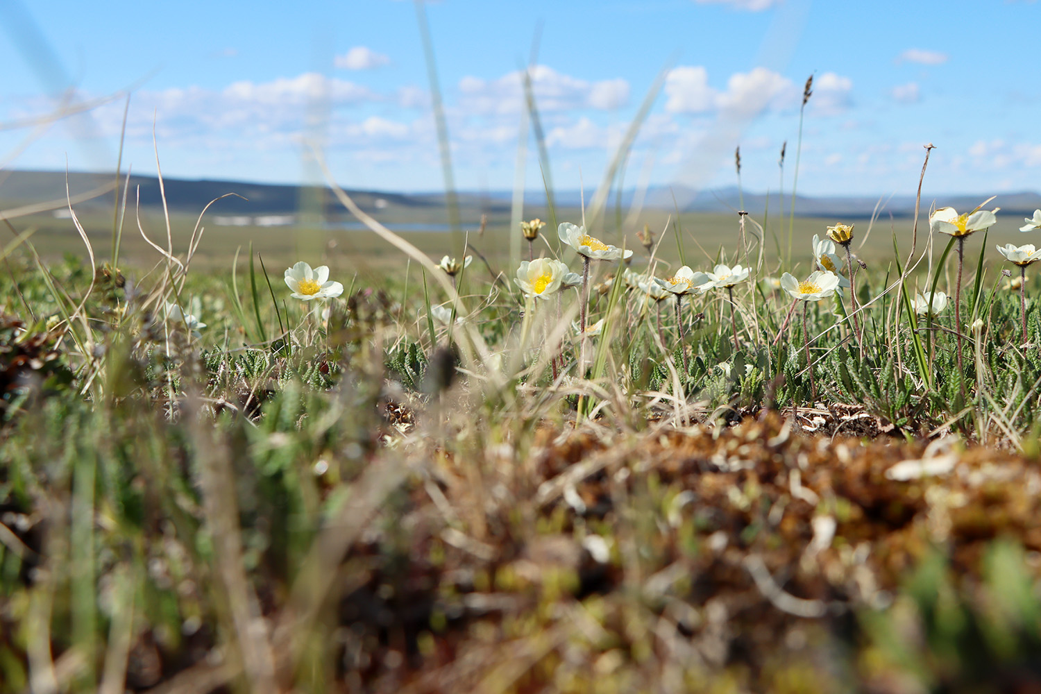 Brooks Range, Alaska