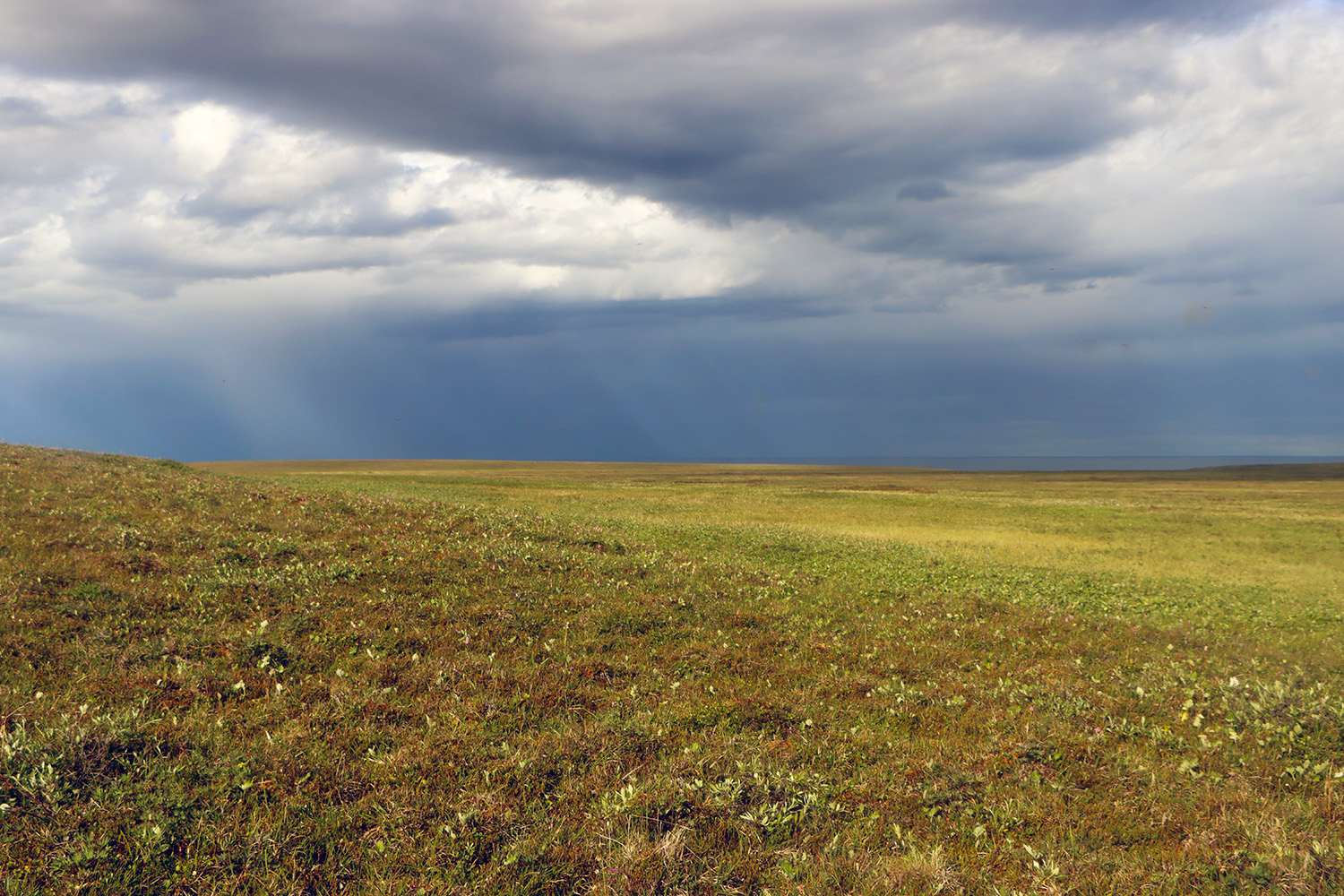 Yukon Coastal Plain, Canada